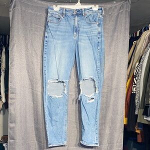 American Eagle Outfitters Distressed Light Blue Cropped Jeans